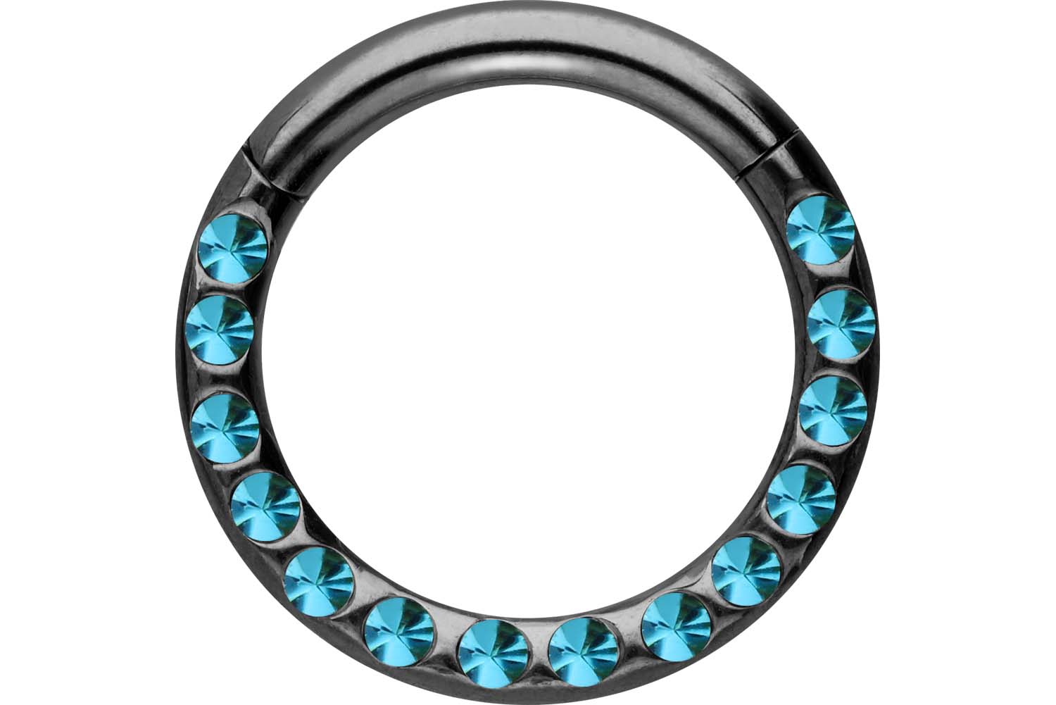 Chirurgenstahl Segmentring Clicker Piercing KRISTALLE + EPOXY ++SALE++